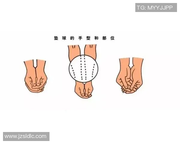 排球新手必看:轻松掌握状态与技巧的入门指南 排球新手必看:轻松掌握状态与技巧的入门指南